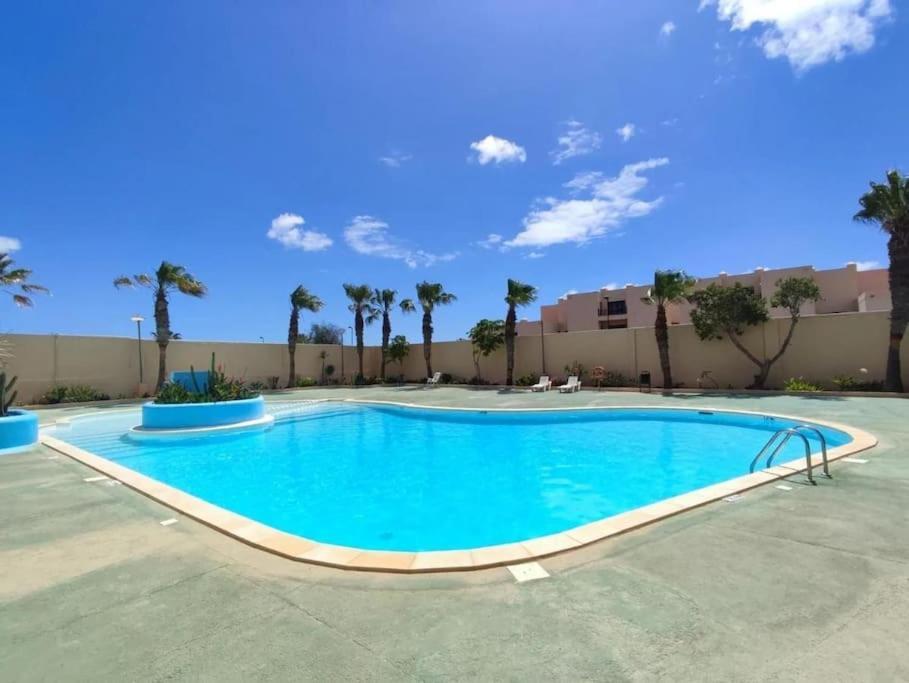 El Olivar Paraiso Playa Parque Holandes Eksteriør bilde